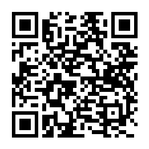 【PC】嘟嘟嘟~恋爱信号响不停，美女室友们教我如何淡定？Build.22529080 中字国语+预购特典+全DLC-电玩纪元