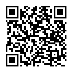 【PC】仓库猎人模拟器 Build.27112025 支持联机（Storage Hunter Simulator）-电玩纪元