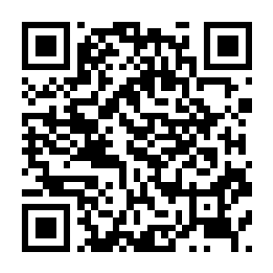 【PC】仙途放置 无尽天梯和完美装备 Build.24162659 官方中文版-电玩纪元