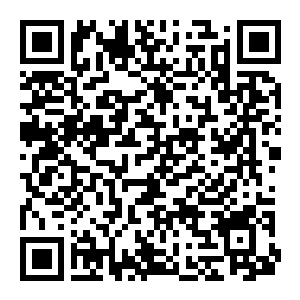 图片[2]-【PC】王国 两位君主 Build.25774160 官方中文版+奥林匹斯的召唤DLC+全DLC（Kingdom Two Crowns）-电玩纪元