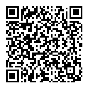 图片[2]-【修改器】轮回之兽-电玩纪元