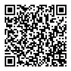 图片[2]-【修改器】恐怖黎明-电玩纪元