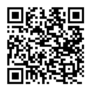 【PC】被追踪者3 Build.24841435 官方中文版 容量6.75GB（The Stalked 3）-电玩纪元