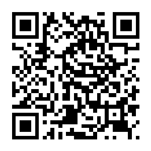 【PC】疫区档案 v1.1.4 容量2.55GB 官方简体中文（Vultures-Scavengers of Death）-电玩纪元