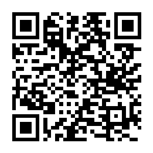 【PC】厨师物语（别名烹饪冒险）v0.8 内置中文汉化版 容量4.85GB（Chef RPG）-电玩纪元