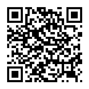 【PC】《美少女旅馆:可爱即是正义,但正义需要处刑》Build.24874178 官方中文版 容量483.64MB-电玩纪元