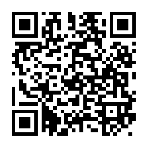 【PC】森林不在乎 Build.24759804 官方中文版 容量22.55GB(Forest Doesn’t Care)-电玩纪元