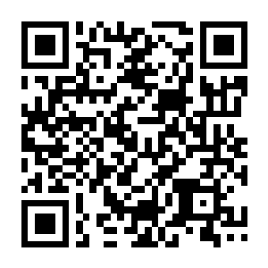 【PC】生存日志 v1.0.14911 官方中文版 容量3.94GB（Survival Log）-电玩纪元