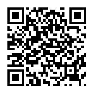 【PC】新宝可梦随乐拍（别名新宝可梦相机） v2.0.1模拟器整合版 官方中文版 容量7.31GB（New Pokemon Snap）-电玩纪元