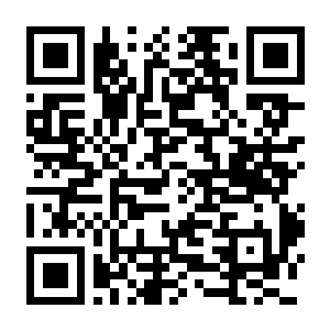 【PC】棉花小魔女:东方幻夜 Build.24533515 官方中文版 容量5.3GB(COTTOn RockWithYou -ORIENTAL NIGHT DREAMS-)-电玩纪元