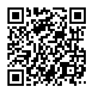 【PC】满屋猫咪 Build.24573804 官方中文版+整合DLC 容量732MB（Flats Full of Cats）-电玩纪元