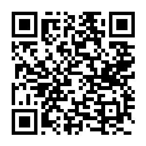 图片[2]-【独立游戏/小游戏】26年8月26日合集，能搜到就是在这里面，共17个-电玩纪元