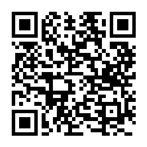 【PC】鹰派大统领 Build.24554642 官方中文版 容量480.18MB（Anomaly President）-电玩纪元