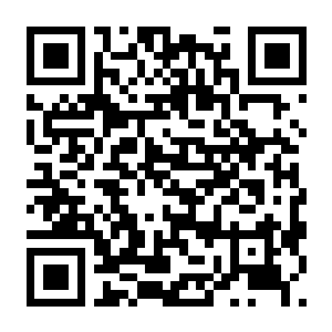 图片[2]-【独立游戏/小游戏】26年8月30日合集，能搜到就是在这里面，共10个-电玩纪元