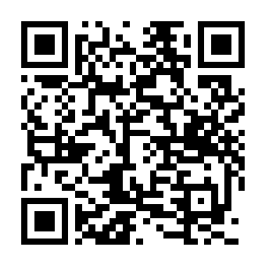 【PC】整理工坊 Build.24878109 官方中文版 容量632.64MB(The Sorting Bureau)-电玩纪元