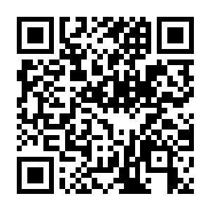 【PC】水上闹剧 Build.24951435 官方中文版 容量3.9GB(Water You Doing?)-电玩纪元