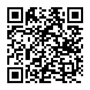 【PC】宝可梦:晶灿钻石明亮珍珠(别名宝可梦珍珠钻石重制版) v1.30模拟器整合版 官方中文版 容量15.1GB-电玩纪元