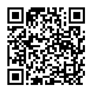 【PC】遗忘之地的同行 Build.24614640 官方中文版 容量6.79GB(Together in Forgotten Lands)-电玩纪元