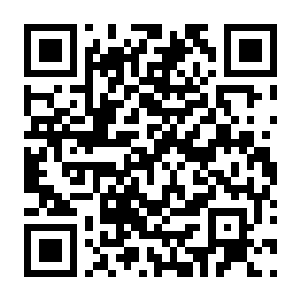 【PC】君王之塔 Build.24596638 官方中文版 容量2.03GB(Sovereign Tower)-电玩纪元