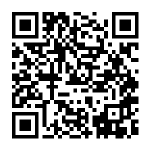 【PC】废土之歌 Build.24484729 含绿色深渊DLC+豪华中文版+全DLC-电玩纪元