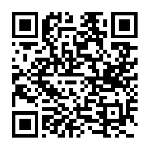 【PC】永恒与星辰与日常 Build.24399569 容量1.62GB 官方简体中文(Our Brief Eternity)-电玩纪元
