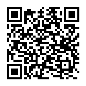 【PC】沉没之城2 Build.24671220 官方中文版 容量48.6GB(The Sinking City 2)-电玩纪元