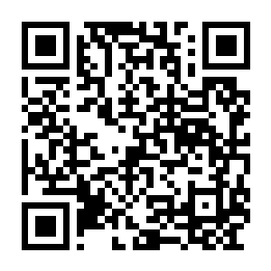 【PC】喵米：都市猫咪大乱 Build.24624249 官方中文版 容量8.08GB（MEOWMI：City Cat Chaos）-电玩纪元