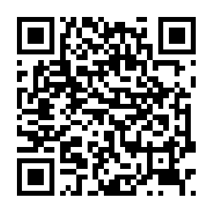 【PC】剑士 Build.13871665 官方中文版+修改器+满金币初始存档+实用MOD合集包 容量11.5GB(Kenshi)-电玩纪元