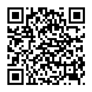 【PC】深海寿司 Build.24857222 官方中文版 容量11.35GB（Deep Blue Sushi）-电玩纪元