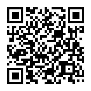 【PC】人中之龙8(别名如龙8:无尽的财富)v1.20(Build.17233673) HYPERVISOR 官方中文版 容量78.3GB(Like a Dragon:Infinite Wealth HYPE…-电玩纪元