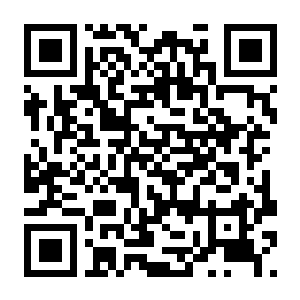 【PC】Pulslink:守卫回路 Build.24531515 容量172MB 官方简体中文-电玩纪元