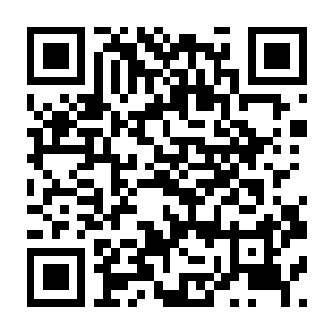 【PC】阿吉菲尔德高中:震撼校园 Build.24783539 官方中文版 容量8.59GB(Agefield High:Rock the School)-电玩纪元
