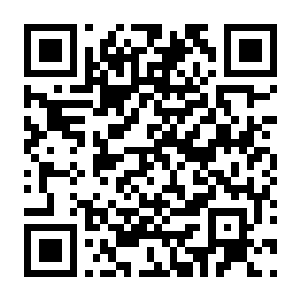 图片[2]-【独立游戏/小游戏】26年8月23日合集，能搜到就是在这里面，共9个-电玩纪元