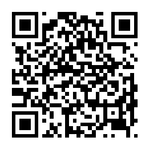 【PC】一线警员 Build.24879257 官方中文版 容量4.8GB(Police Officer)-电玩纪元