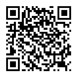 图片[2]-【独立游戏/小游戏】26年8月1日合集，能搜到就是在这里面，共19个-电玩纪元
