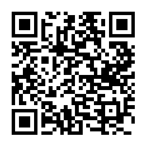 【PC】剑盾模拟器 Build.24671773 官方中文版 容量7.04GB（Sword & Shield Simulator）-电玩纪元