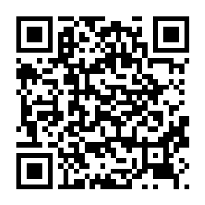 【PC】午夜轮班 Build.24450017 官方中文版 容量831.35MB（Shift At Midnight）-电玩纪元