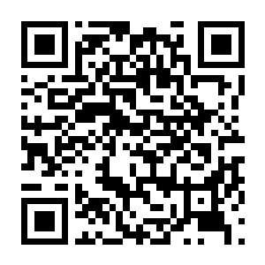 【PC】异常形态 Build.24489230 官方中文版+全DLC-电玩纪元