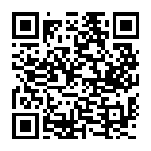 【PC】网络爬虫 Build.24754967 官方中文版 容量423MB(NET.CRAWL)-电玩纪元