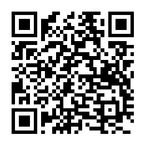 【PC】饮料工厂模拟器 Build.24720442 官方中文版 容量2.62GB(Drink Factory Simulator)-电玩纪元