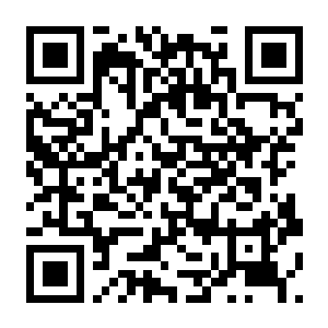 【PC】电子烟店：迈阿密 Build.24705502 官方中文版 容量16.16GB（Vape Store Miami）-电玩纪元