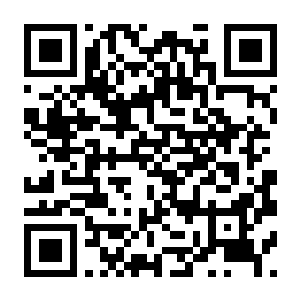 【PC】药房模拟器:制药巨头 Build.24495220 官方中文版 容量729MB(Pharmacy Simulator:Big Pharma)-电玩纪元