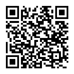 【PC】动物园生活模拟器 Build.22641787 官方中文版 容量9.09GB（ZooLife Simulator）-电玩纪元