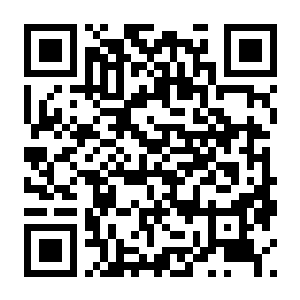 【PC】卧底维修工 Build.24471105 官方中文版 容量34.59GB(Fixer Undercover)-电玩纪元