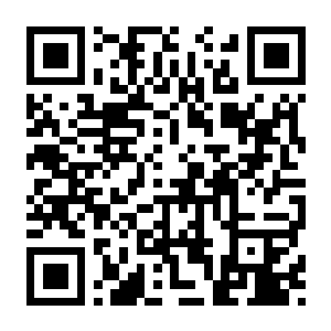 【PC】塞尔达传说：智慧的再现 v1.1.0模拟器整合版 官方中文版 容量6.5GB（The Legend Of ZELDA：Echoes of Wisdom）-电玩纪元