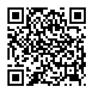 【PC】放置领主:财富之城 Build.24788561 官方中文版 容量888.97MB(Hearth and Hamlet)-电玩纪元