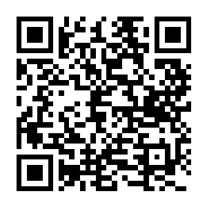 【PC】躲猫猫音乐盒 Build.24560201 官方中文版 容量1.04GB(Shy Cats Hidden Orchestra 2 – The Return)-电玩纪元