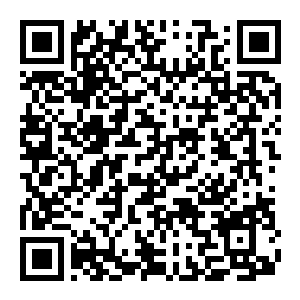 【PC】害虫清洁工 Build.25577221 官方中文版 容量3.8GB(Bug Cleaners)-电玩纪元