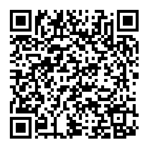 图片[2]-【修改器】黑道圣徒：重启版-电玩纪元