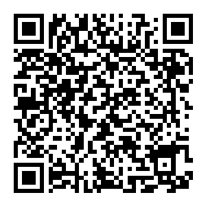 图片[2]-【修改器】尘埃：拉力赛2.0-电玩纪元